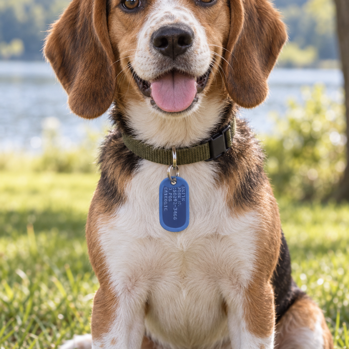 Blue Dog Tag