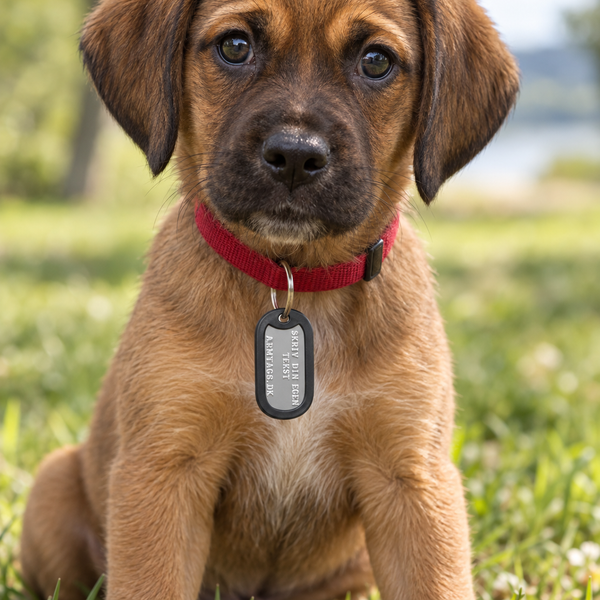 US Army hundbricka